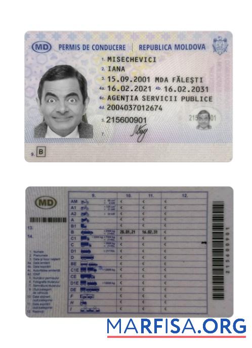 Printable Moldova driving license 2021 present sample